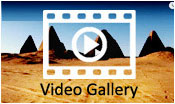 Video Gallery